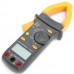 Клещи постоянного тока MS2101